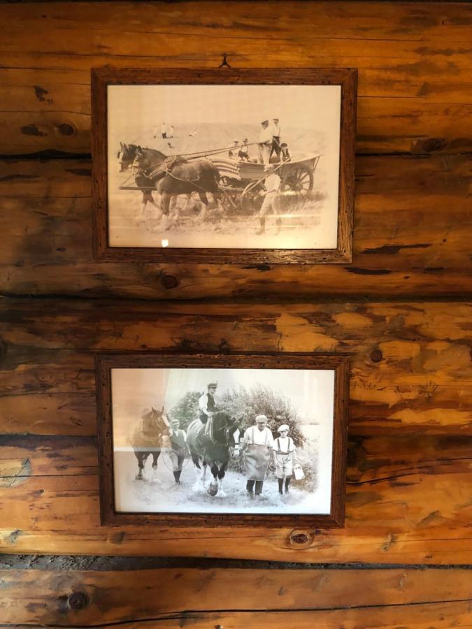 B&B Le Corone - Chalet Nel Bosco Cavalo Buitenkant foto