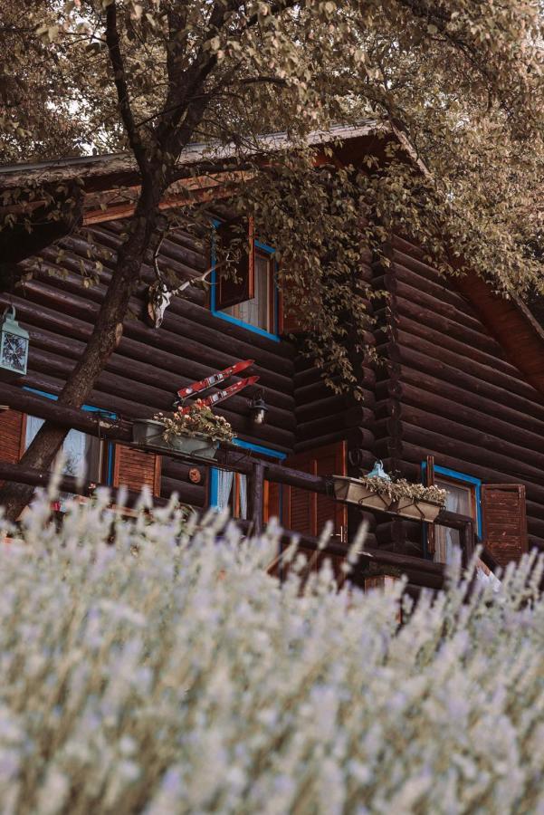 B&B Le Corone - Chalet Nel Bosco Cavalo Buitenkant foto